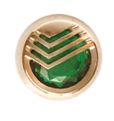Значок Сбербанк с камнем корпоративный с логотипом Компании.