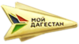 Значок «Лидеры Дагестана» корпоративный с логотипом Компании.