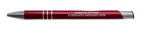 Ручка с гравировкой Развитие Арктики.