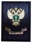 Плакетка "Военная прокуратура Северного флота"